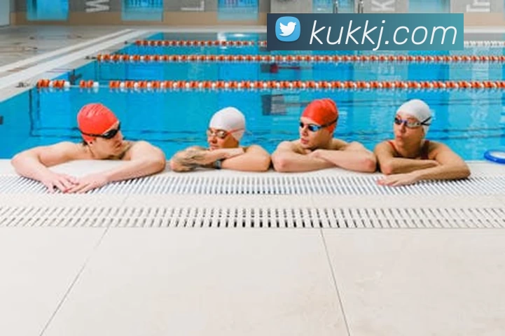 博亚app官网登录入口 - 博亚(中国)平台生态图